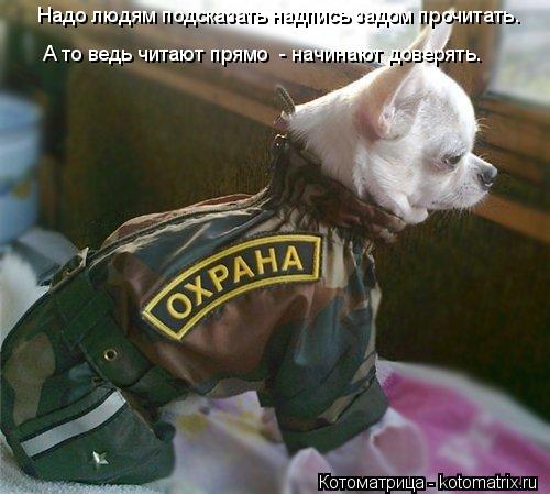 Надо людям подсказать надпись задом прочитать. А то ведь читают прямо - начинают доверять.... Котоматрица: Надо людям подсказать надпись задом прочитать. А то ведь читают прямо - начинают доверять.
