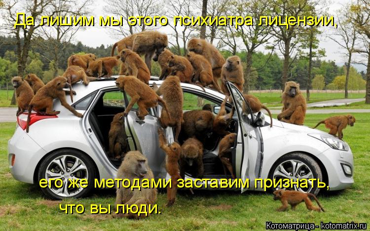 Котоматрица: Да лишим мы этого психиатра лицензии, его же методами заставим признать, что вы люди.