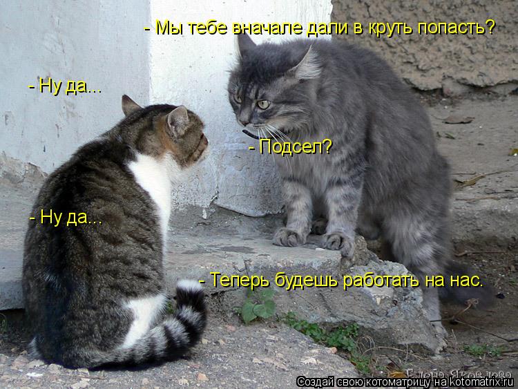 - Мы тебе вначале дали в круть попасть? - Ну да... - Подсел? - Ну да... - Теперь будешь работать на н... Котоматрица: - Мы тебе вначале дали в круть попасть? - Ну да... - Подсел? - Ну да... - Теперь будешь работать на нас.