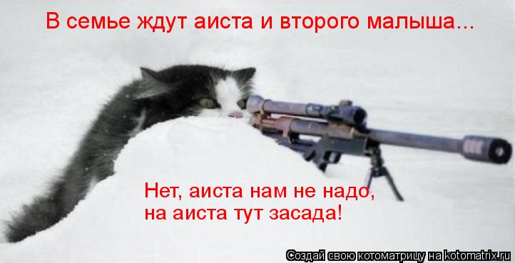Котоматрица: В семье ждут аиста и второго малыша... Нет, аиста нам не надо,  на аиста тут засада!