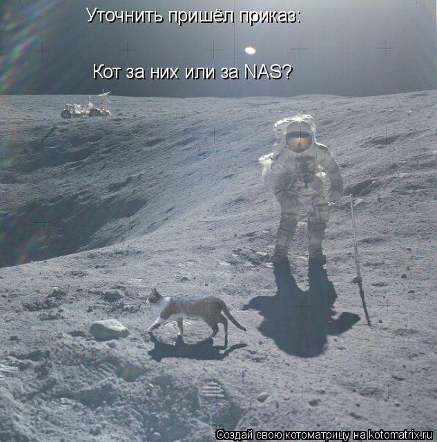 Уточнить пришёл приказ: Кот за них или за NAS?... Котоматрица: Уточнить пришёл приказ: Кот за них или за NAS?