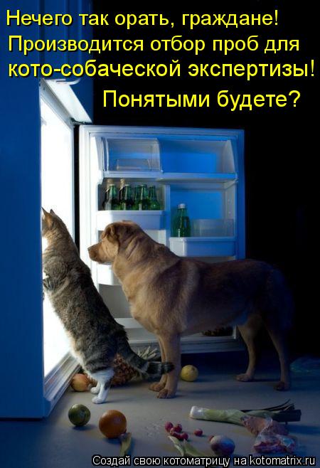 Котоматрица: Нечего так орать, граждане! Производится отбор проб для кото-собаческой экспертизы! Понятыми будете?