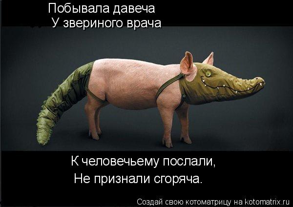 Побывала давеча У звериного врача К человечьему послали, Не признали сгоряча.... Котоматрица: Побывала давеча У звериного врача К человечьему послали, Не признали сгоряча.