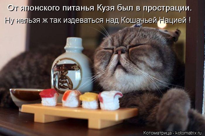 От японского питанья Кузя был в прострации. Ну нельзя ж так издеваться над Кошачьей Нацией !... Котоматрица: От японского питанья Кузя был в прострации. Ну нельзя ж так издеваться над Кошачьей Нацией !