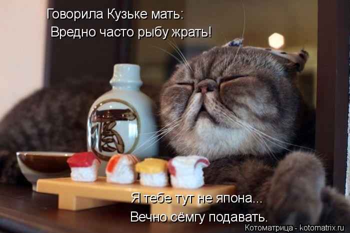 Говорила Кузьке мать: Вредно часто рыбу жрать! Вечно сёмгу подавать. Я тебе тут не япона...... Котоматрица: Говорила Кузьке мать: Вредно часто рыбу жрать! Вечно сёмгу подавать. Я тебе тут не япона...