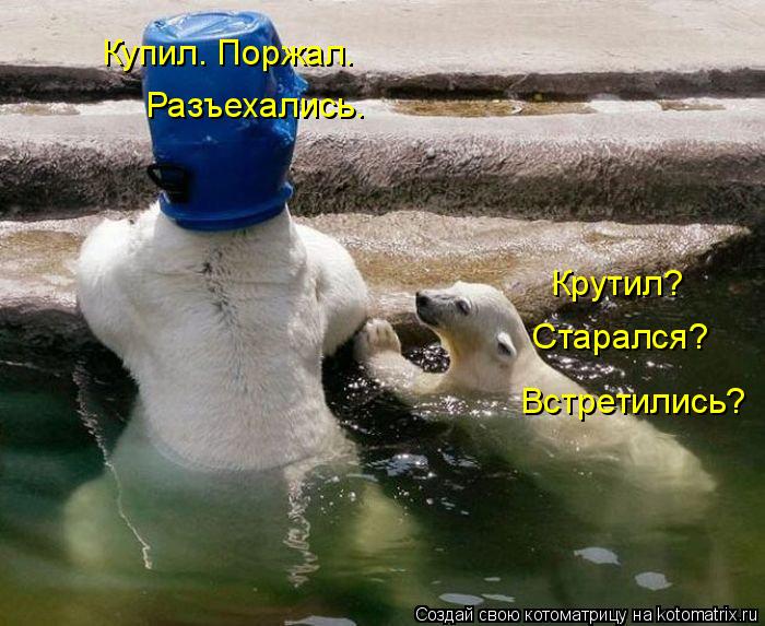 Крутил? Встретились? Старался? Купил. Поржал. Разъехались.... Котоматрица: Крутил? Встретились? Старался? Купил. Поржал. Разъехались.
