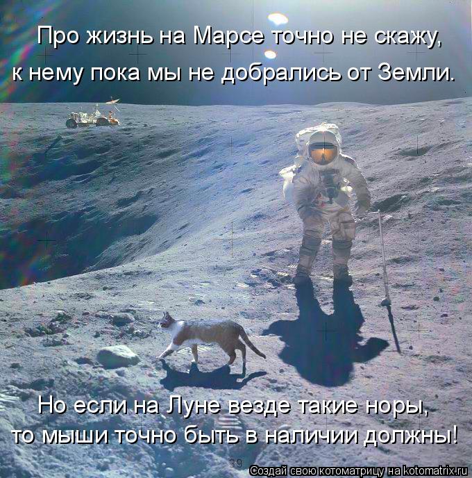 Про жизнь на Марсе точно не скажу, Но если на Луне везде такие норы, то мыши точно быть в наличии дол... Котоматрица: Про жизнь на Марсе точно не скажу, Но если на Луне везде такие норы, то мыши точно быть в наличии должны! к нему пока мы не добрались от Земли.