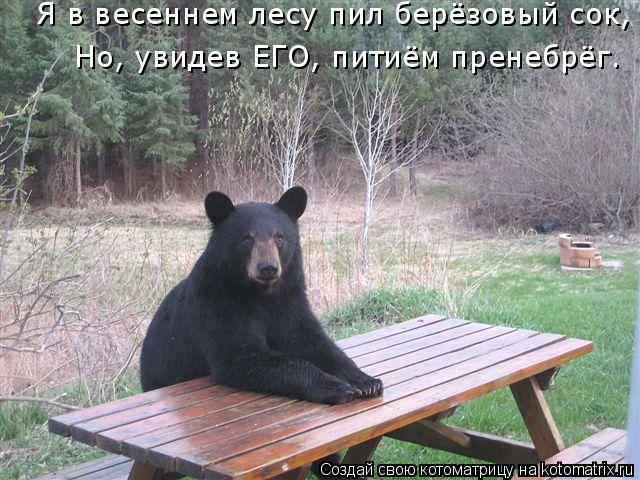 Я в весеннем лесу пил берёзовый сок, Но, увидев ЕГО, питиём пренебрёг.... Котоматрица: Я в весеннем лесу пил берёзовый сок, Но, увидев ЕГО, питиём пренебрёг.