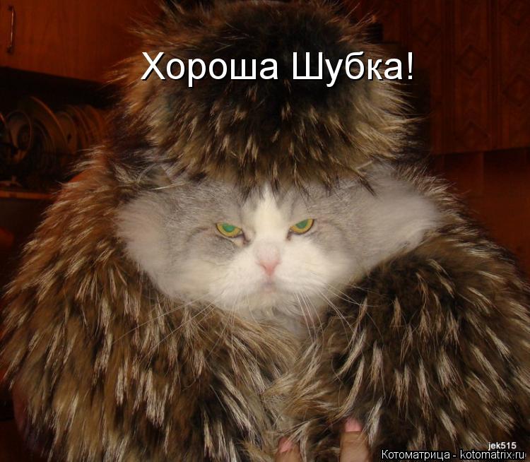 Хороша Шубка!... Котоматрица: Хороша Шубка!