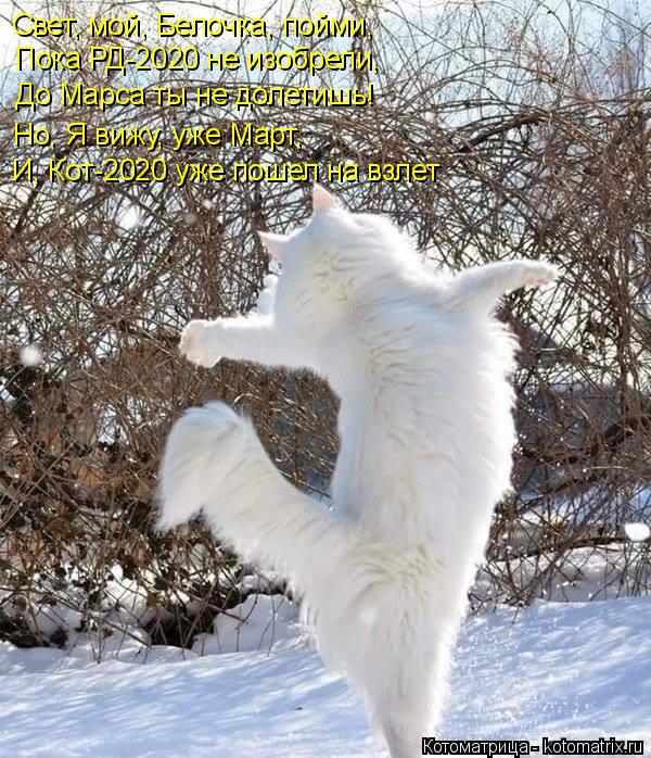 Свет, мой, Белочка, пойми, До Марса ты не долетишь! Но, Я вижу, уже Март, И, Кот-2020 уже пошел на вз... Котоматрица: Свет, мой, Белочка, пойми, До Марса ты не долетишь! Но, Я вижу, уже Март, И, Кот-2020 уже пошел на взлет Пока РД-2020 не изобрели,