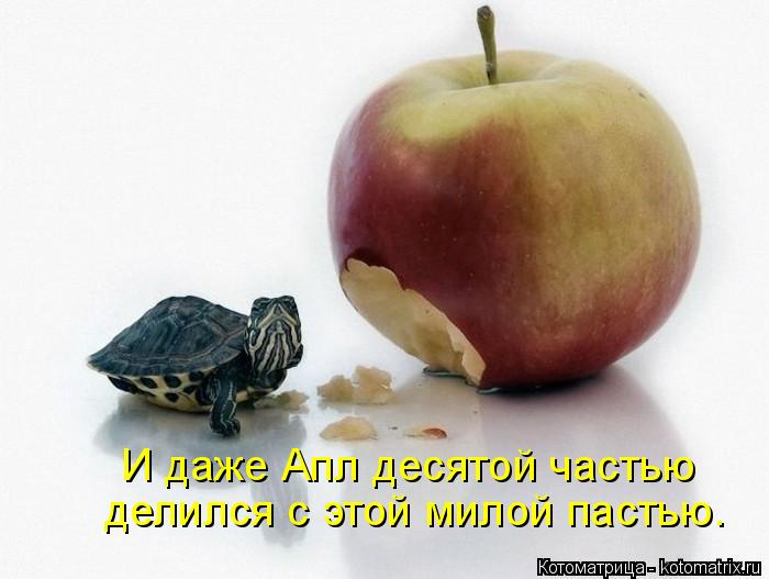 И даже Апл десятой частью делился с этой милой пастью.... Котоматрица: И даже Апл десятой частью делился с этой милой пастью.