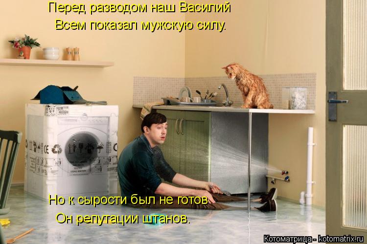 Перед разводом наш Василий Всем показал мужскую силу. Но к сырости был не готов Он репутации штанов.... Котоматрица: Перед разводом наш Василий Всем показал мужскую силу. Но к сырости был не готов Он репутации штанов.