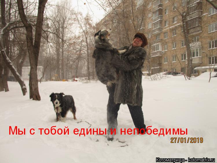 Мы с тобой едины и непобедимы... Котоматрица: Мы с тобой едины и непобедимы