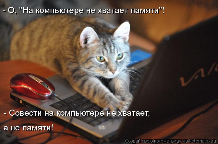 - О, "На компьютере не хватает памяти"! - Совести на компьютере не хватает, а не памяти!... Котоматрица: - О, "На компьютере не хватает памяти"! - Совести на компьютере не хватает, а не памяти!