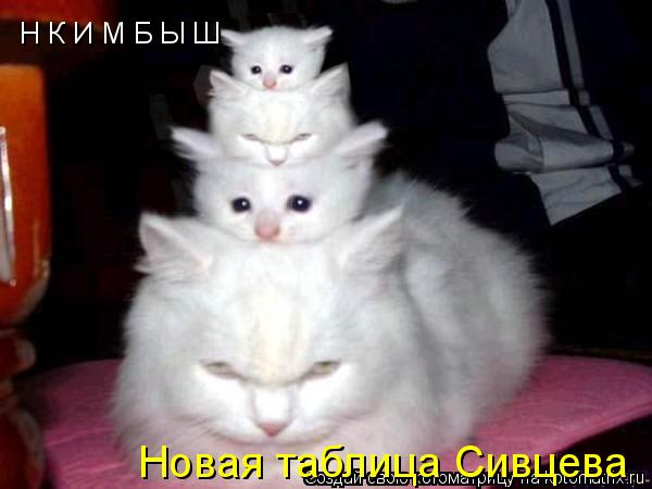 Н К И М Б Ы Ш Новая таблица Сивцева... Котоматрица: Н К И М Б Ы Ш Новая таблица Сивцева