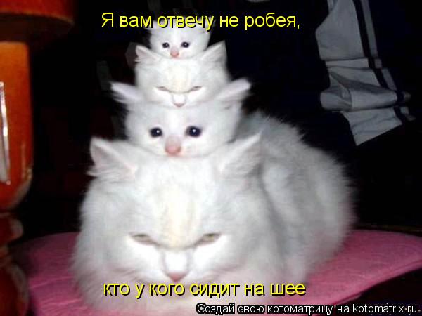 Я вам отвечу не робея, кто у кого сидит на шее... Котоматрица: Я вам отвечу не робея, кто у кого сидит на шее
