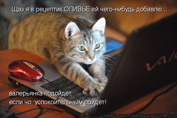 Щаз я в рецептик ОЛИВЬЕ ей чего-нибудь добавлю... валерьянка подойдёт, если чо, успокоительным пойдёт... Котоматрица: Щаз я в рецептик ОЛИВЬЕ ей чего-нибудь добавлю... валерьянка подойдёт, если чо, успокоительным пойдёт!
