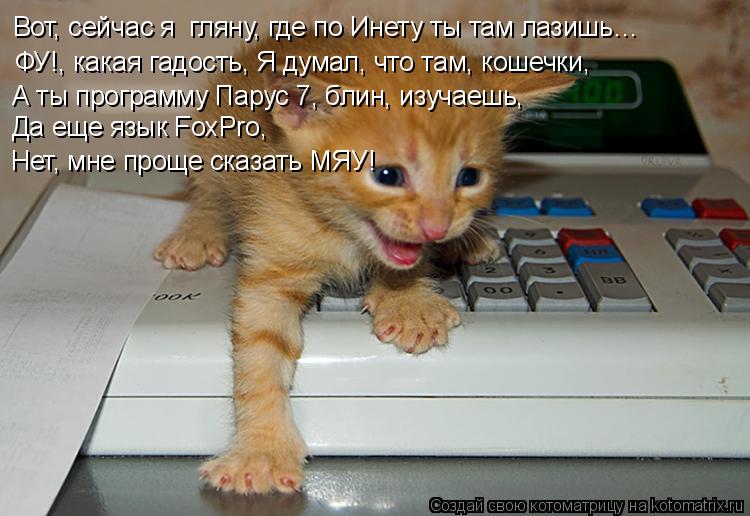 Вот, сейчас я гляну, где по Инету ты там лазишь… ФУ!, какая гадость, Я думал, что там, кошечки, А ты... Котоматрица: Вот, сейчас я гляну, где по Инету ты там лазишь… ФУ!, какая гадость, Я думал, что там, кошечки, А ты программу Парус 7, блин, изучаешь, Да еще яз?