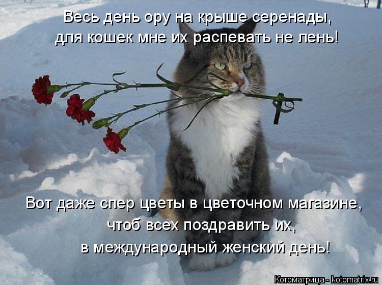 в международный женский день! для кошек мне их распевать не лень! Весь день ору на крыше серенады, чт... Котоматрица: в международный женский день! для кошек мне их распевать не лень! Весь день ору на крыше серенады, чтоб всех поздравить их, Вот даже спер цве?