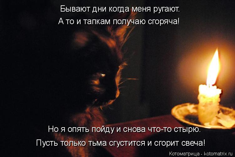 Бывают дни когда меня ругают. А то и тапкам получаю сгоряча! Но я опять пойду и снова что-то стырю. П... Котоматрица: Бывают дни когда меня ругают. А то и тапкам получаю сгоряча! Но я опять пойду и снова что-то стырю. Пусть только тьма сгустится и сгорит свеча