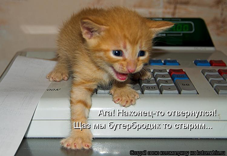 Ага! Наконец-то отвернулся! Щаз мы бутербродик то стырим...... Котоматрица: Ага! Наконец-то отвернулся! Щаз мы бутербродик то стырим...