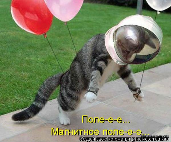 Магнитное поле-е-е... Поле-е-е...... Котоматрица: Магнитное поле-е-е... Поле-е-е...