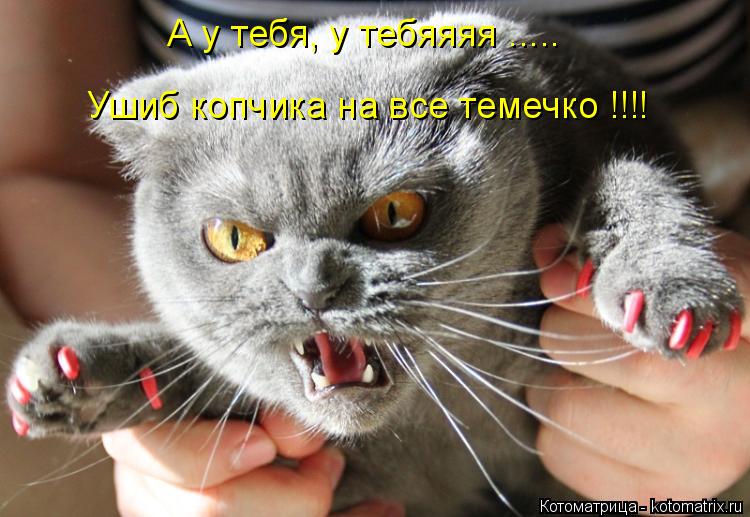 А у тебя, у тебяяяя ..... Ушиб копчика на все темечко !!!!... Котоматрица: А у тебя, у тебяяяя ..... Ушиб копчика на все темечко !!!!