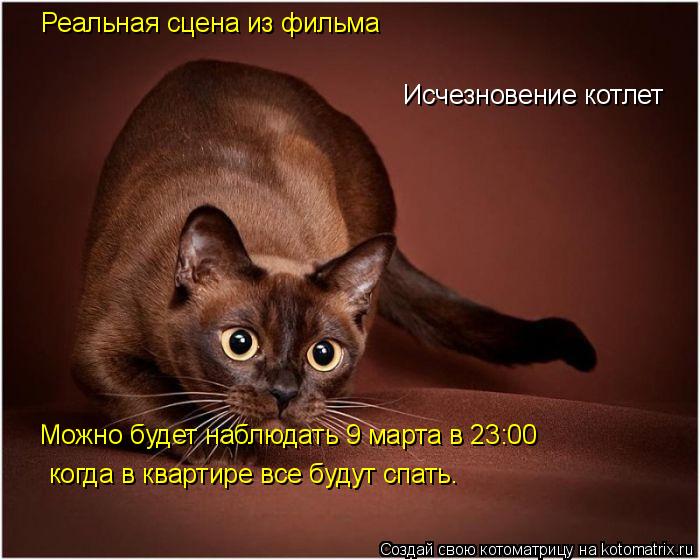 Реальная сцена из фильма Исчезновение котлет Можно будет наблюдать 9 марта в 23:00 когда в квартире в... Котоматрица: Реальная сцена из фильма Исчезновение котлет Можно будет наблюдать 9 марта в 23:00 когда в квартире все будут спать.