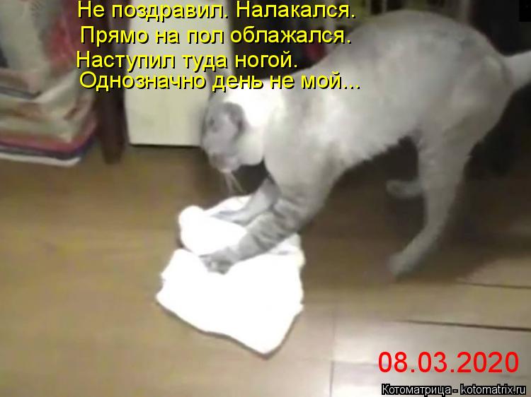 Прямо на пол облажался. Не поздравил. Налакался. Однозначно день не мой... Наступил туда ногой. 08.03... Котоматрица: Прямо на пол облажался. Не поздравил. Налакался. Однозначно день не мой... Наступил туда ногой. 08.03.2020