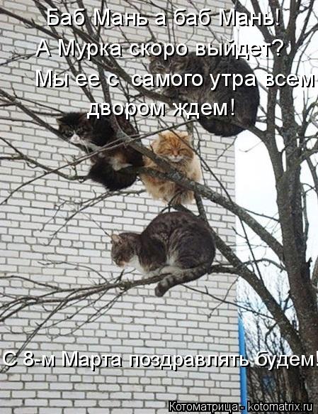 Баб Мань а баб Мань! А Мурка скоро выйдет? Мы ее с самого утра всем двором ждем! С 8-м Марта поздра... Котоматрица: Баб Мань а баб Мань! А Мурка скоро выйдет? Мы ее с самого утра всем двором ждем! С 8-м Марта поздравлять будем!