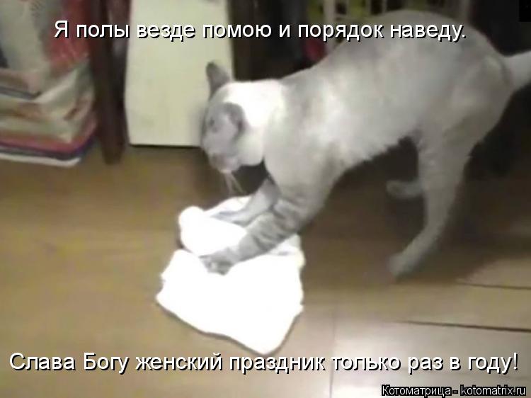 Я полы везде помою и порядок наведу. Слава Богу женский праздник только раз в году!... Котоматрица: Я полы везде помою и порядок наведу. Слава Богу женский праздник только раз в году!