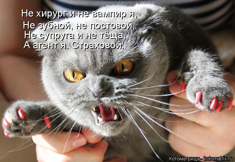Не хирург и не вампир я, Не зубной, не постовой, Не супруга и не тёща, А агент я. Страховой.... Котоматрица: Не хирург и не вампир я, Не зубной, не постовой, Не супруга и не тёща, А агент я. Страховой.