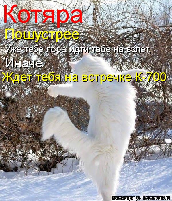 Котяра Пошустрее Уже тебе пора идти тебе на взлет, Иначе Ждет тебя на встречке К-700... Котоматрица: Котяра Пошустрее Уже тебе пора идти тебе на взлет, Иначе Ждет тебя на встречке К-700