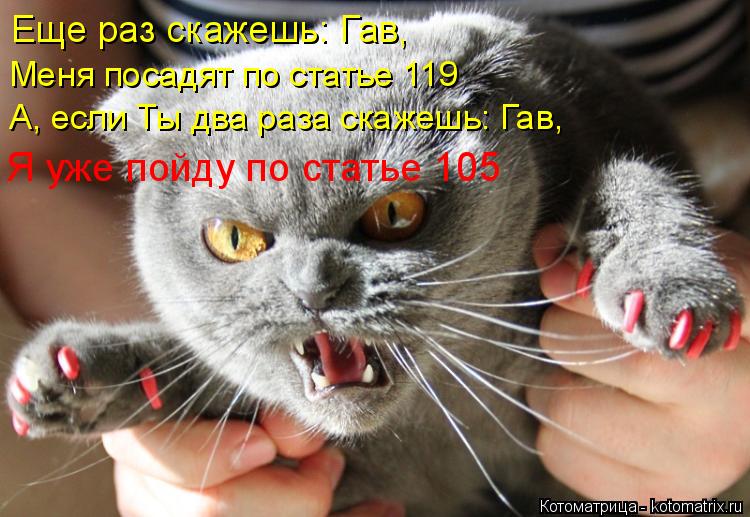 Еще раз скажешь: Гав, Меня посадят по статье 119 А, если Ты два раза скажешь: Гав, Я уже пойду по ста... Котоматрица: Еще раз скажешь: Гав, Меня посадят по статье 119 А, если Ты два раза скажешь: Гав, Я уже пойду по статье 105