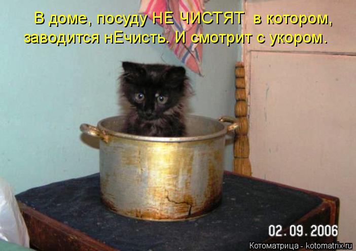 заводится нЕчисть. И смотрит с укором. В доме, посуду НЕ ЧИСТЯТ в котором,... Котоматрица: заводится нЕчисть. И смотрит с укором. В доме, посуду НЕ ЧИСТЯТ в котором,