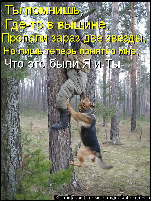 Ты помнишь, Где-то в вышине, Пропали зараз две звезды, Но лишь теперь понятно мне, Что это были Я и Т... Котоматрица: Ты помнишь, Где-то в вышине, Пропали зараз две звезды, Но лишь теперь понятно мне, Что это были Я и Ты