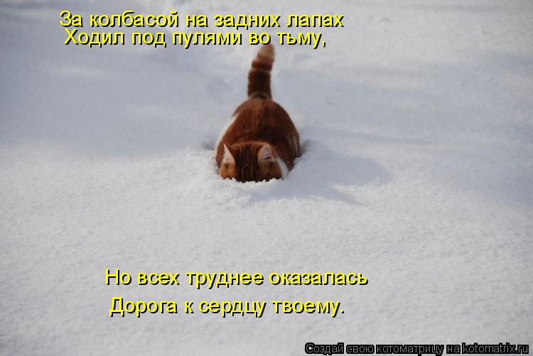 Ходил под пулями во тьму, Но всех труднее оказалась Дорога к сердцу твоему. За колбасой на задних ла... Котоматрица: Ходил под пулями во тьму, Но всех труднее оказалась Дорога к сердцу твоему. За колбасой на задних лапах