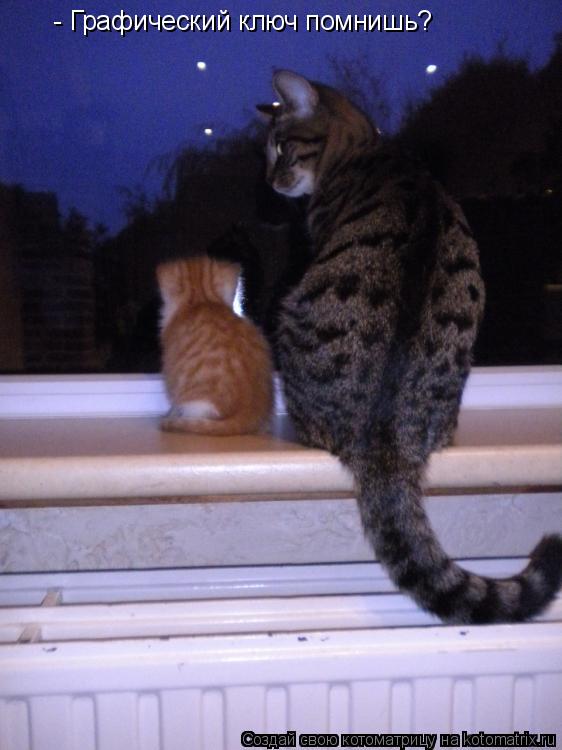 - Графический ключ помнишь?... Котоматрица: - Графический ключ помнишь?