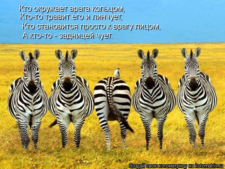 Кто окружает врага кольцом, Кто-то травит его и линчует, Кто становится просто к врагу лицом, А кто-т... Котоматрица: Кто окружает врага кольцом, Кто-то травит его и линчует, Кто становится просто к врагу лицом, А кто-то - задницей чует.