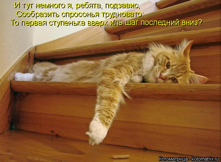 И тут немного я, ребята, подзавис, То первая ступенька вверх иль шаг последний вниз? Сообразить спрос... Котоматрица: И тут немного я, ребята, подзавис, То первая ступенька вверх иль шаг последний вниз? Сообразить спросонья трудновато: