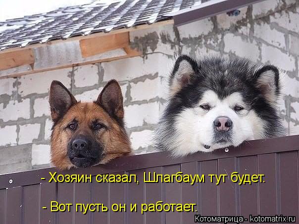 - Хозяин сказал, Шлагбаум тут будет. - Вот пусть он и работает.... Котоматрица: - Хозяин сказал, Шлагбаум тут будет. - Вот пусть он и работает.