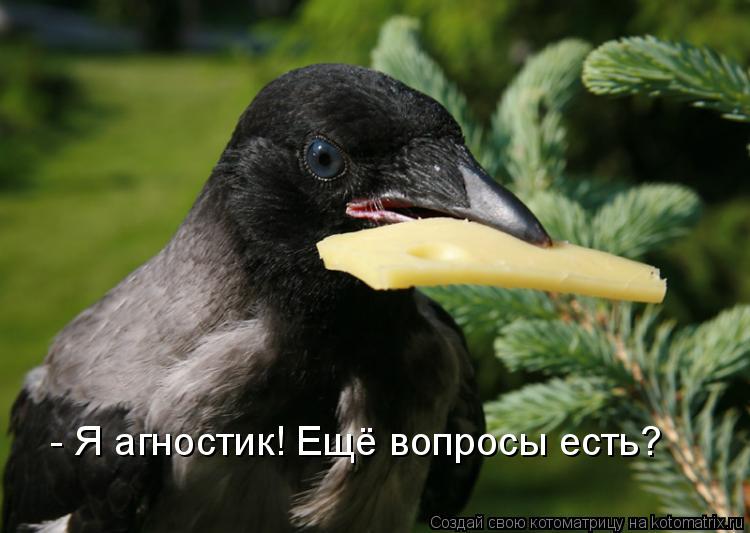 - Я агностик! Ещё вопросы есть?... Котоматрица: - Я агностик! Ещё вопросы есть?