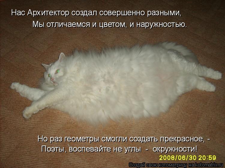Нас Архитектор создал совершенно разными, Мы отличаемся и цветом, и наружностью. Но раз геометры смо... Котоматрица: Нас Архитектор создал совершенно разными, Мы отличаемся и цветом, и наружностью. Но раз геометры смогли создать прекрасное, - Поэты, воспев?