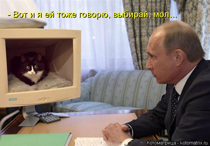 - Вот и я ей тоже говорю, выбирай, мол...... Котоматрица: - Вот и я ей тоже говорю, выбирай, мол...