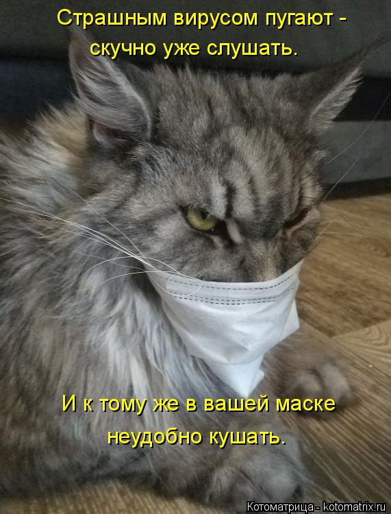 Страшным вирусом пугают - скучно уже слушать. И к тому же в вашей маске неудобно кушать.... Котоматрица: Страшным вирусом пугают - скучно уже слушать. И к тому же в вашей маске неудобно кушать.