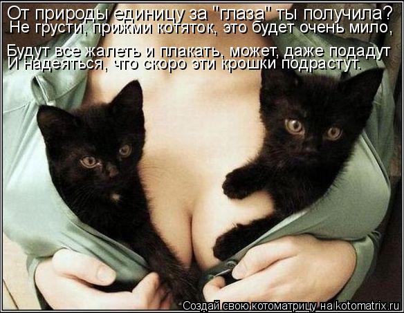 От природы единицу за "глаза" ты получила? Не грусти, прижми котяток, это будет очень мило, Будут все... Котоматрица: От природы единицу за "глаза" ты получила? Не грусти, прижми котяток, это будет очень мило, Будут все жалеть и плакать, может, даже подадут И н?