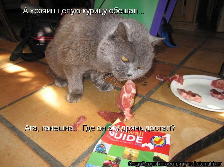 А хозяин целую курицу обещал... Ага, канешна... Где он эту дрянь достал?... Котоматрица: А хозяин целую курицу обещал... Ага, канешна... Где он эту дрянь достал?