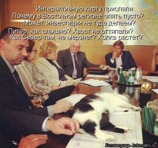 Интерактивную карту прислали . Может, инвестиции не туда делаем? Почему в Восточном регионе опять пус... Котоматрица: Интерактивную карту прислали . Может, инвестиции не туда делаем? Почему в Восточном регионе опять пусто? Питер, как слышно? Хвост не оттяпал?