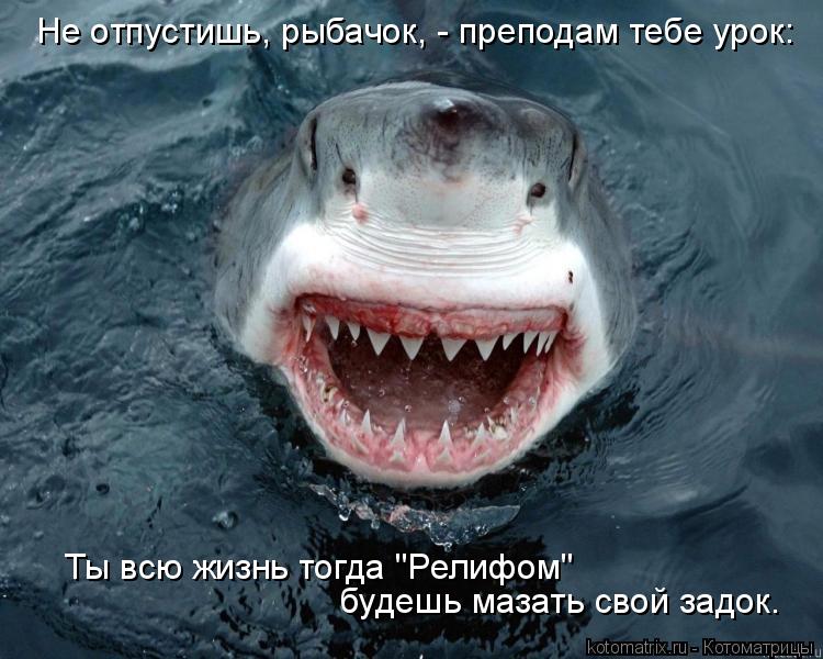 Не отпустишь, рыбачок, - преподам тебе урок: будешь мазать свой задок. Ты всю жизнь тогда "Релифом"... Котоматрица: Не отпустишь, рыбачок, - преподам тебе урок: будешь мазать свой задок. Ты всю жизнь тогда "Релифом"