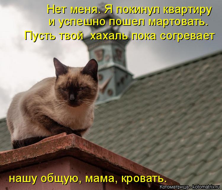 Нет меня. Я покинул квартиру и успешно пошел мартовать. Пусть твой хахаль пока согревает нашу общую,... Котоматрица: Нет меня. Я покинул квартиру и успешно пошел мартовать. Пусть твой хахаль пока согревает нашу общую, мама, кровать.